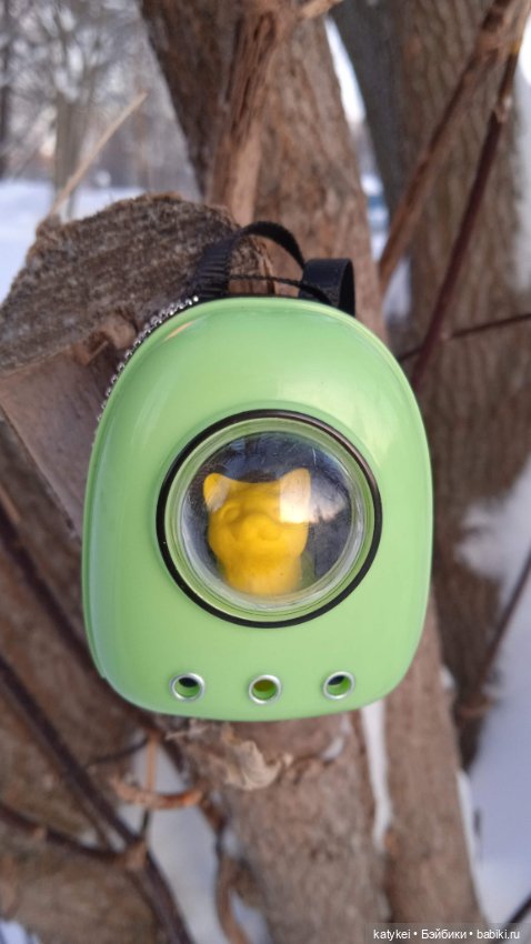 Жёлтая кошечка в переноске и другие