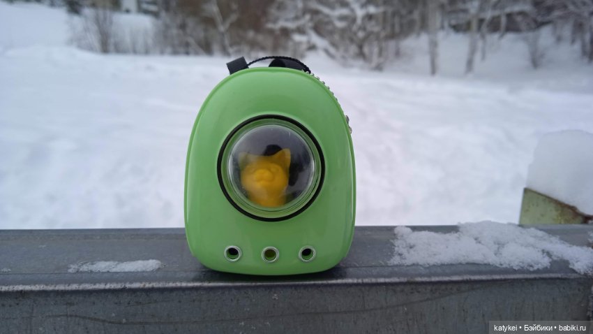 Жёлтая кошечка в переноске и другие