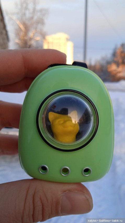 Жёлтая кошечка в переноске и другие