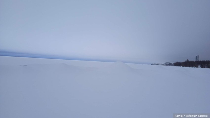 Жёлтая кошечка в переноске и другие