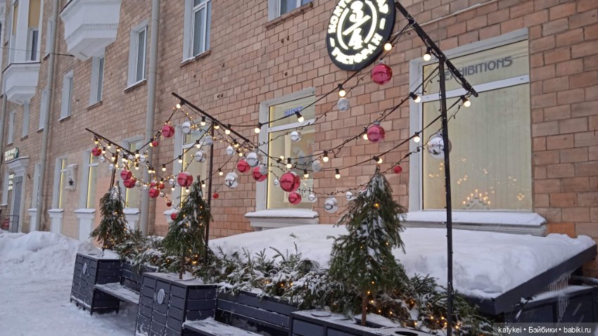 Жёлтая кошечка в переноске и другие (фото 4)