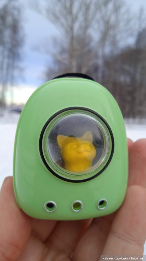 Жёлтая кошечка в переноске и другие