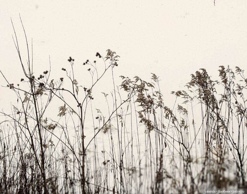 Зима пришла — Куклы Takara Tomy (Такара): Licca (Ликка) (фото 6)