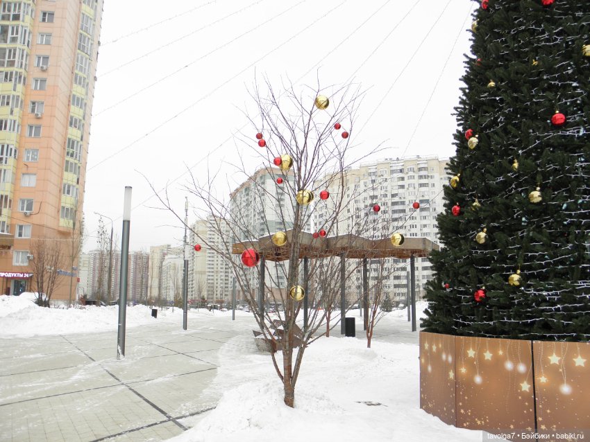 Середина зимы — Домашние коллекции кукол: фото собраний