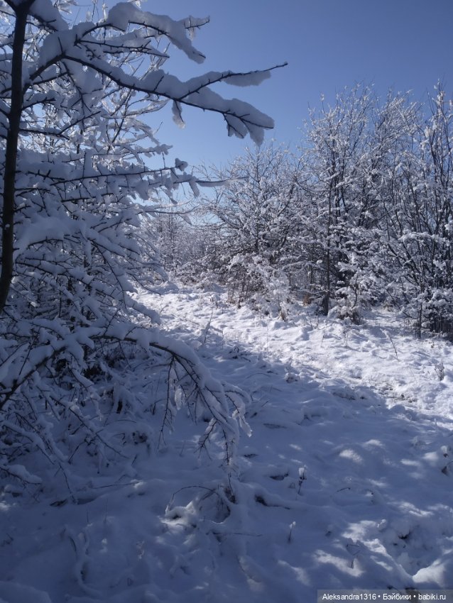 И к нам пришла зима❄️ — Туризм и путешествия: фотоотчеты из поездок (фото 4)