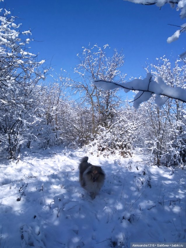 И к нам пришла зима❄️ — Туризм и путешествия: фотоотчеты из поездок