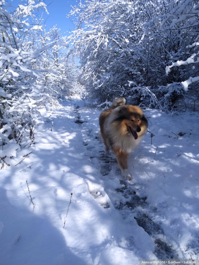 И к нам пришла зима❄️ — Туризм и путешествия: фотоотчеты из поездок
