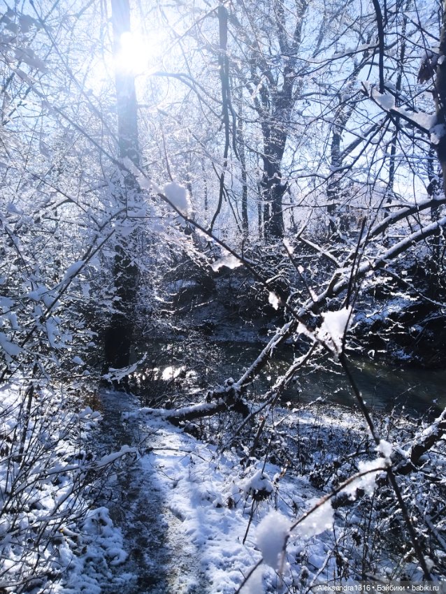 И к нам пришла зима❄️ — Туризм и путешествия: фотоотчеты из поездок