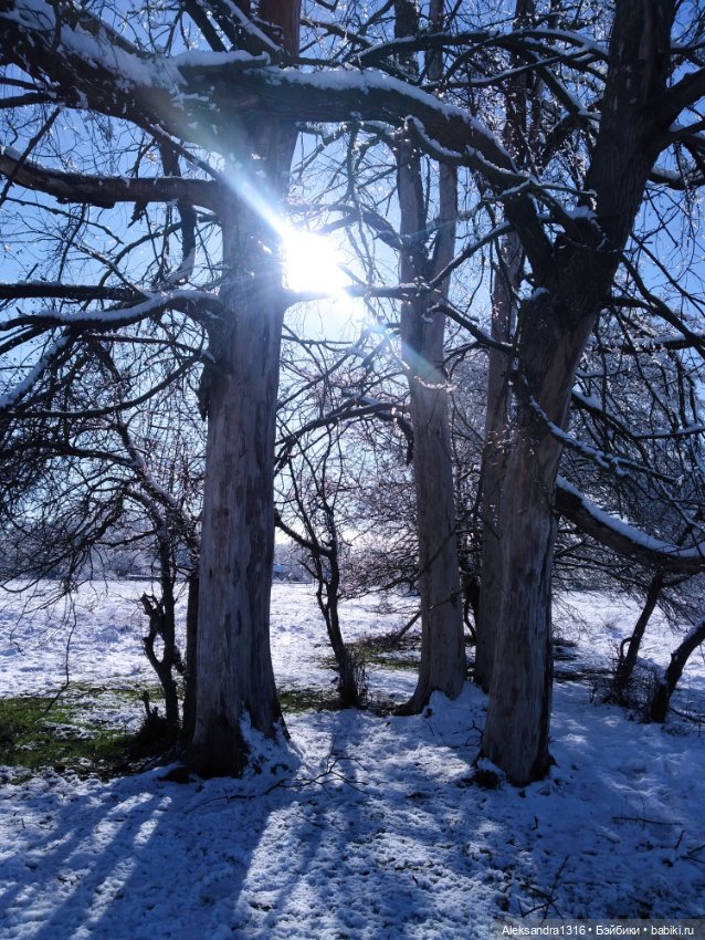 И к нам пришла зима❄️ — Туризм и путешествия: фотоотчеты из поездок (фото 3)