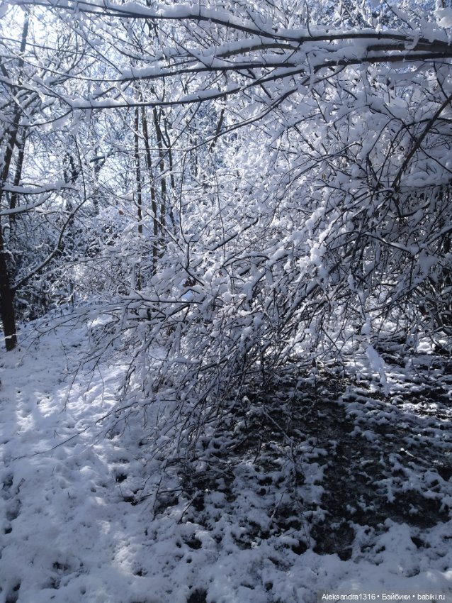 И к нам пришла зима❄️ — Туризм и путешествия: фотоотчеты из поездок
