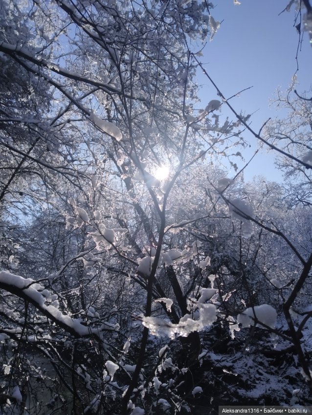 И к нам пришла зима❄️ — Туризм и путешествия: фотоотчеты из поездок