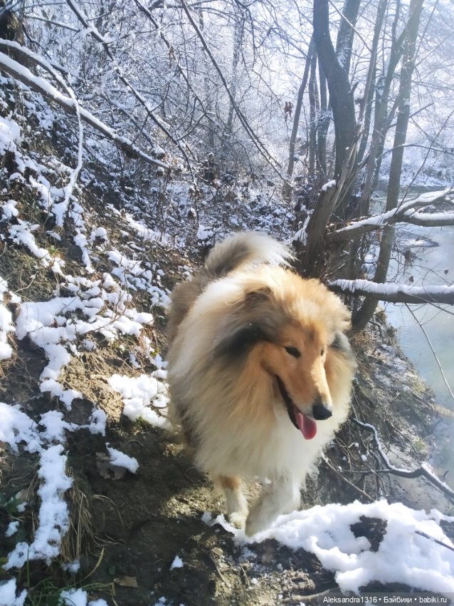 И к нам пришла зима❄️ — Туризм и путешествия: фотоотчеты из поездок