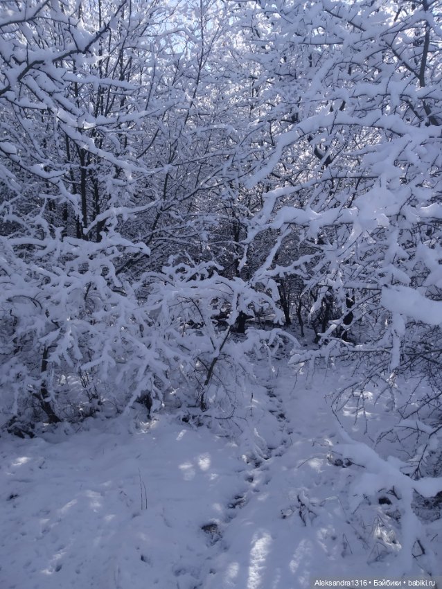 И к нам пришла зима❄️ — Туризм и путешествия: фотоотчеты из поездок