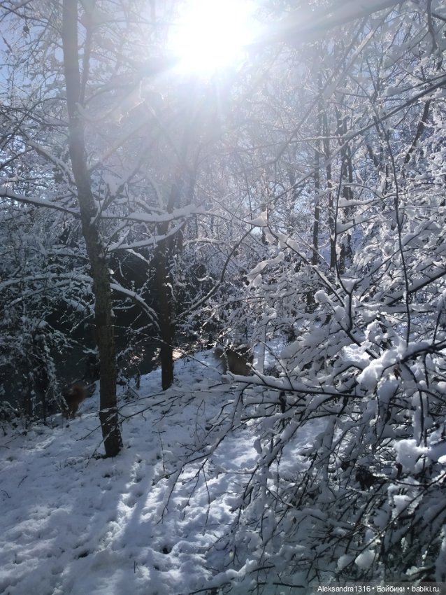И к нам пришла зима❄️ — Туризм и путешествия: фотоотчеты из поездок