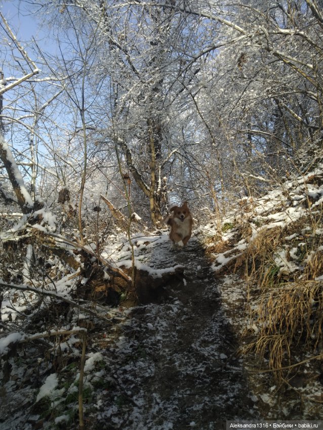 И к нам пришла зима❄️ — Туризм и путешествия: фотоотчеты из поездок