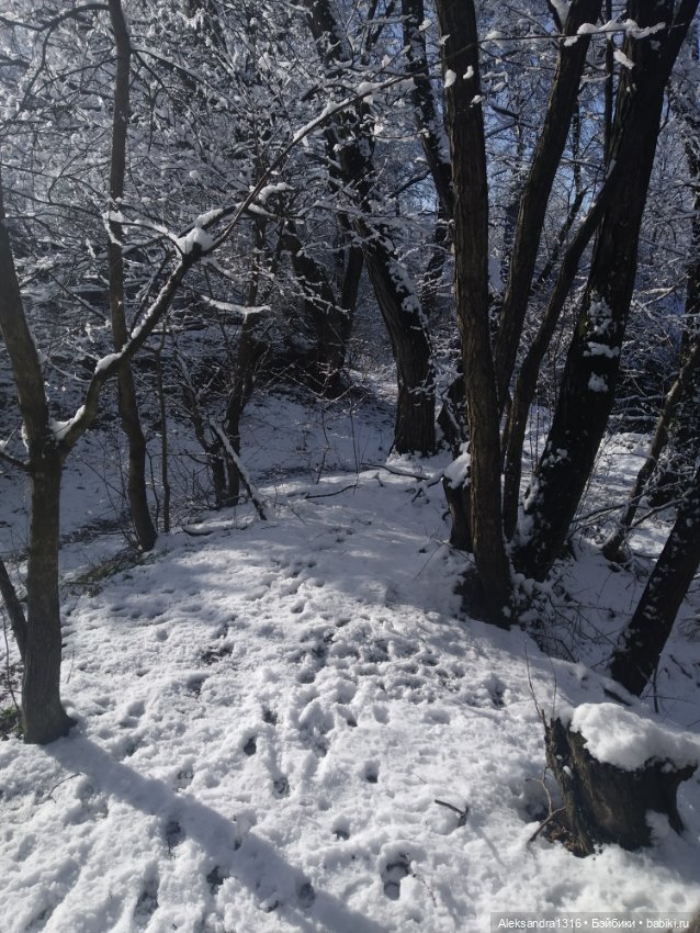И к нам пришла зима❄️ — Туризм и путешествия: фотоотчеты из поездок