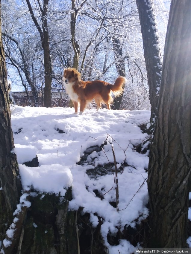 И к нам пришла зима❄️ — Туризм и путешествия: фотоотчеты из поездок