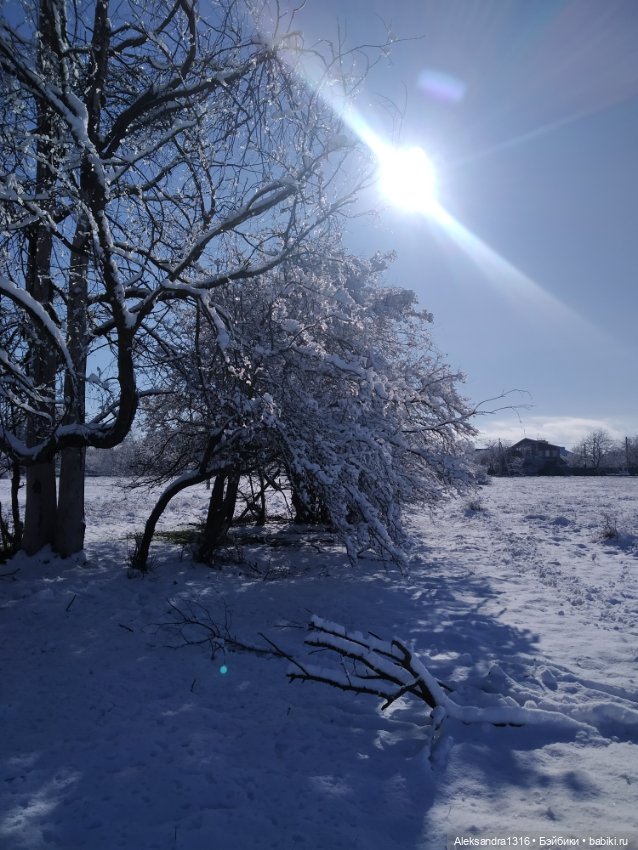 И к нам пришла зима❄️ — Туризм и путешествия: фотоотчеты из поездок