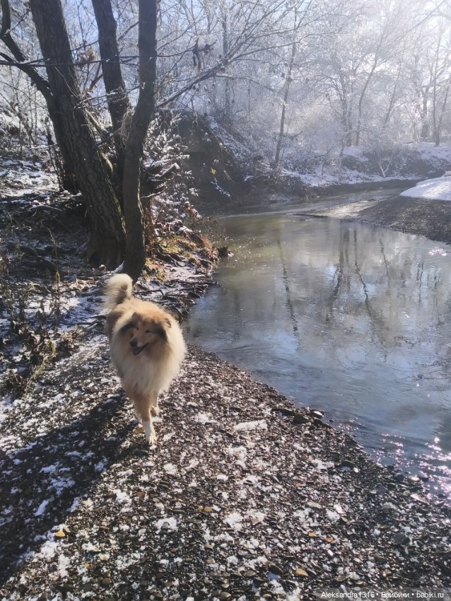 И к нам пришла зима❄️ — Туризм и путешествия: фотоотчеты из поездок