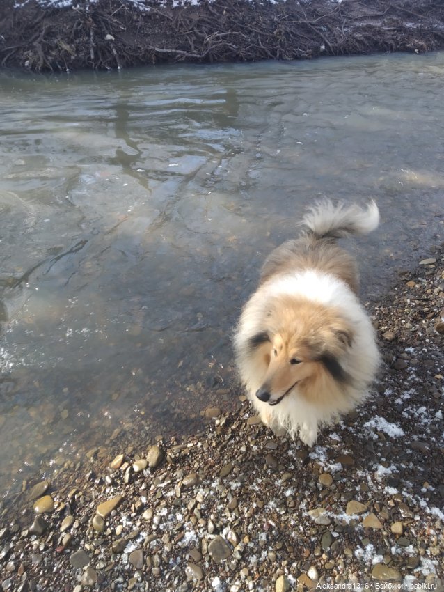И к нам пришла зима❄️ — Туризм и путешествия: фотоотчеты из поездок