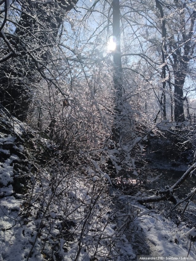 И к нам пришла зима❄️ — Туризм и путешествия: фотоотчеты из поездок