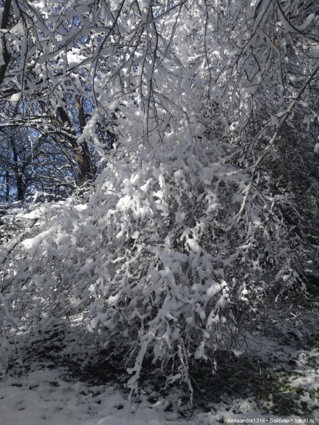 И к нам пришла зима❄️ — Туризм и путешествия: фотоотчеты из поездок