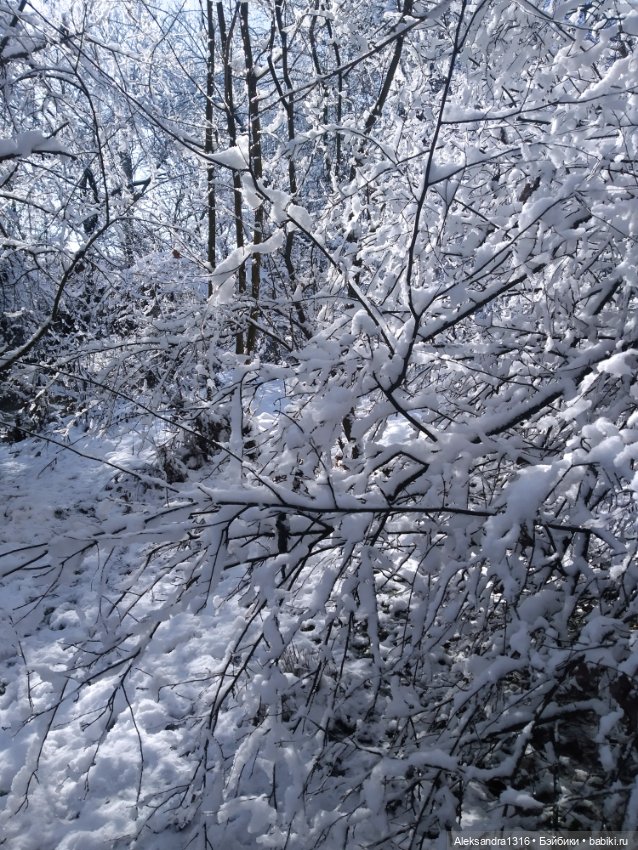 И к нам пришла зима❄️ — Туризм и путешествия: фотоотчеты из поездок (фото 9)