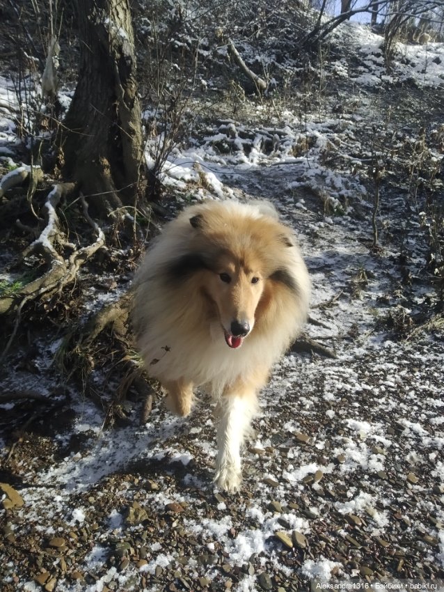 И к нам пришла зима❄️ — Туризм и путешествия: фотоотчеты из поездок