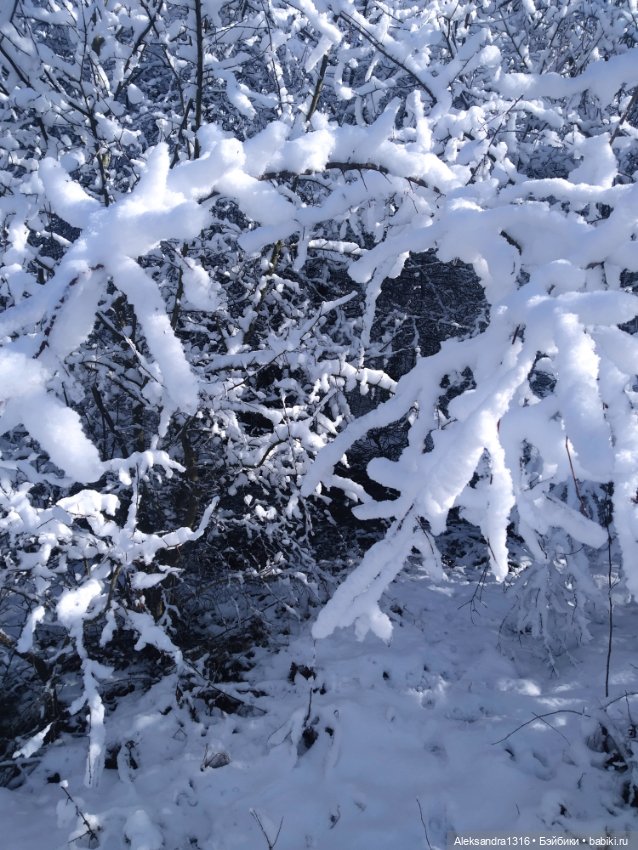И к нам пришла зима❄️ — Туризм и путешествия: фотоотчеты из поездок (фото 5)