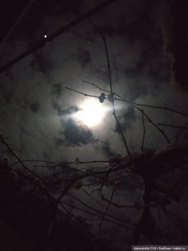 И к нам пришла зима❄️ — Туризм и путешествия: фотоотчеты из поездок