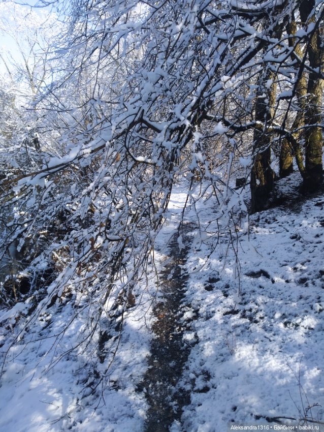 И к нам пришла зима❄️ — Туризм и путешествия: фотоотчеты из поездок