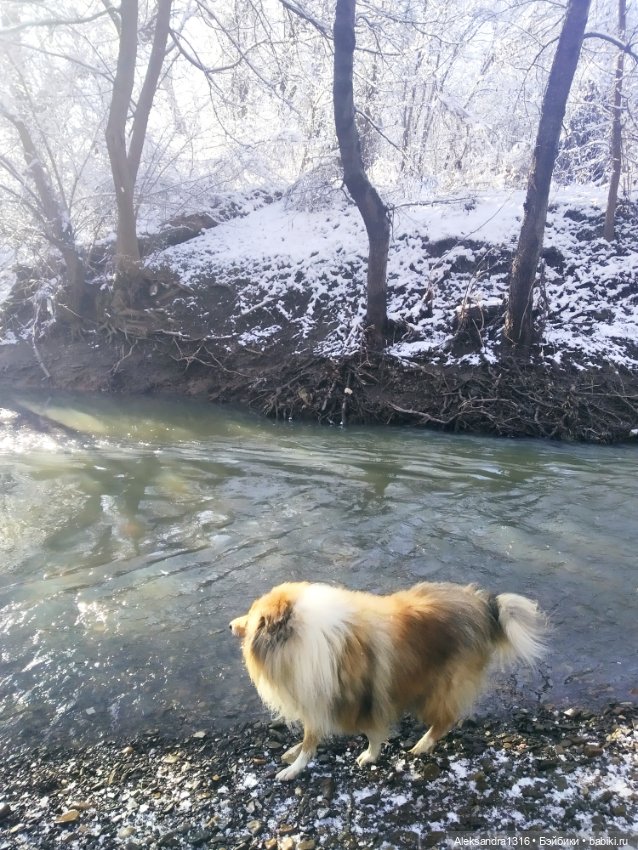 И к нам пришла зима❄️ — Туризм и путешествия: фотоотчеты из поездок