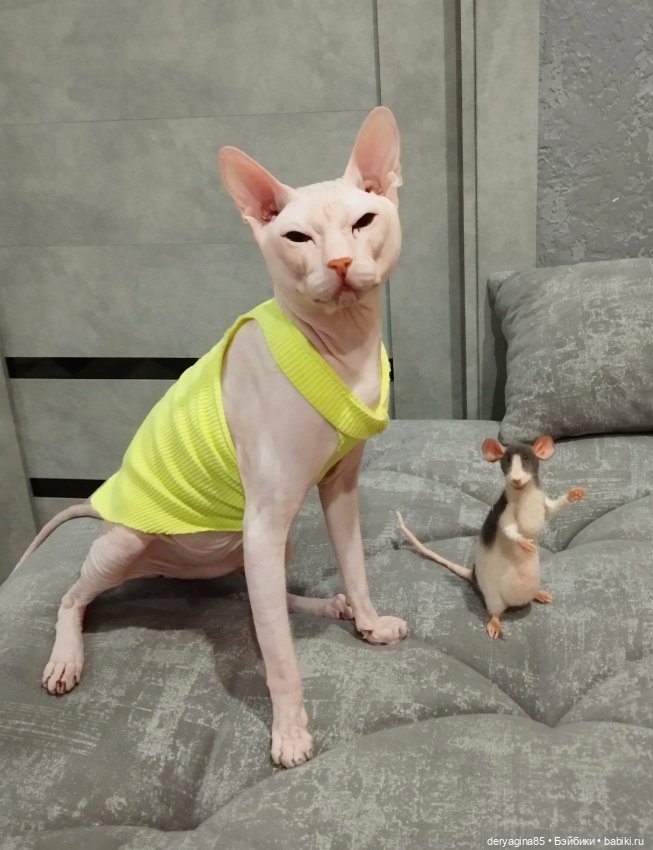 Крыс Роджер — Валяные игрушки из шерсти: сухое валяние