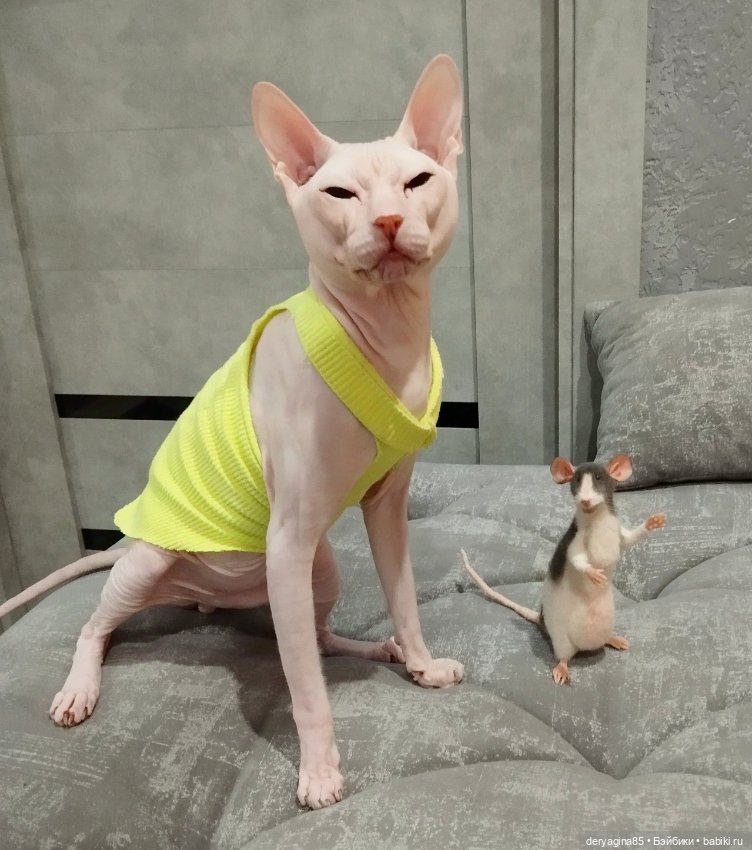 Крыс Роджер — Валяные игрушки из шерсти: сухое валяние (фото 10)