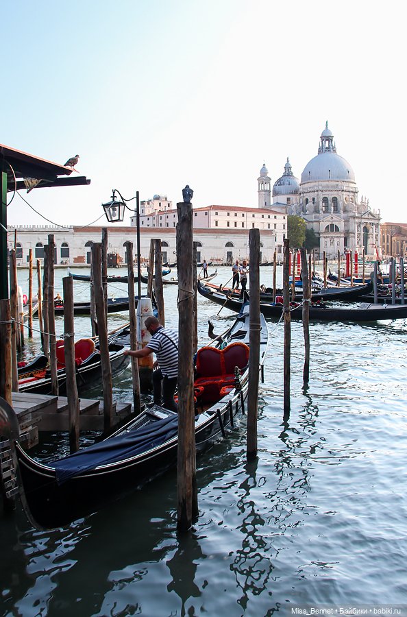 Маски у новогодней ёлочки (фото 3)