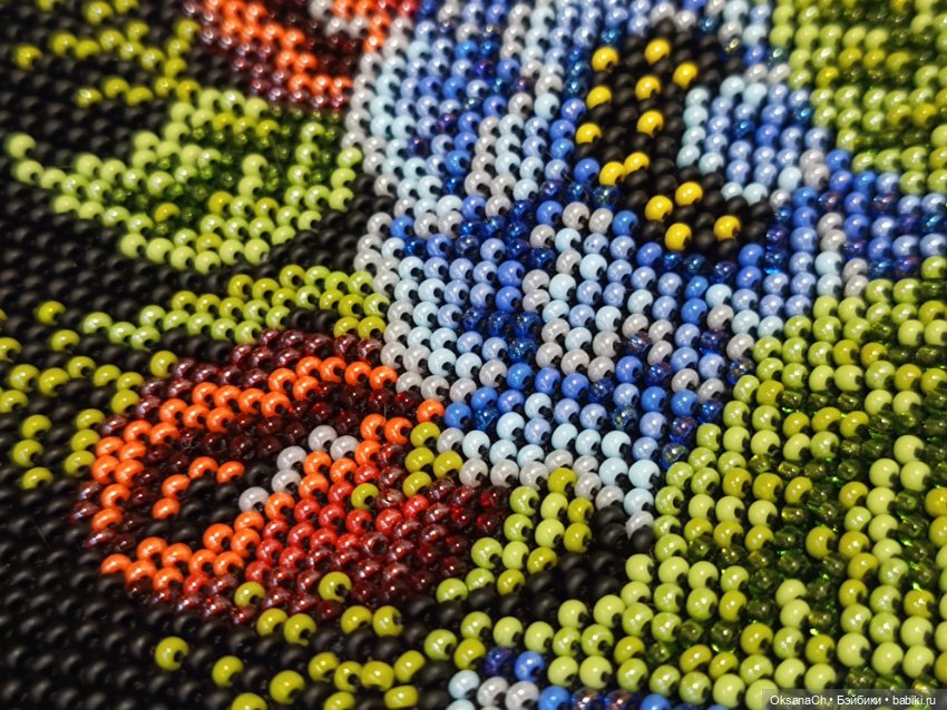 Душа расцветает — Другие хобби и увлечения: сад (фото 5)