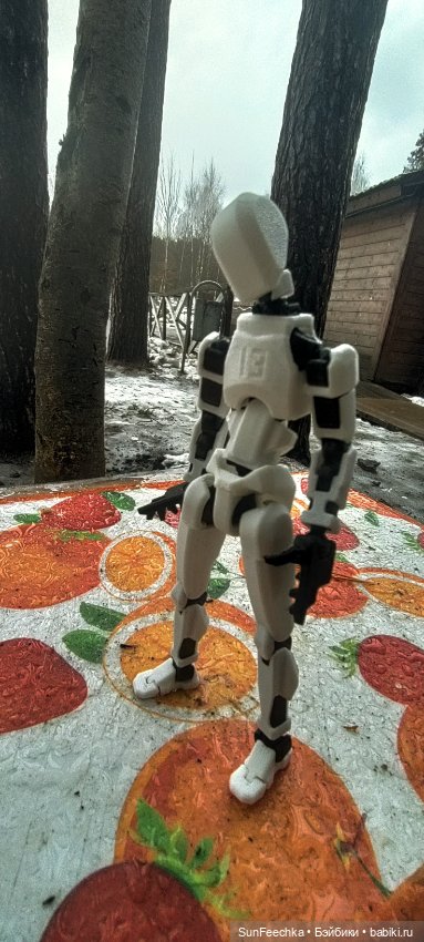 Стикбот TLC-200. Адаптация (фото 10)