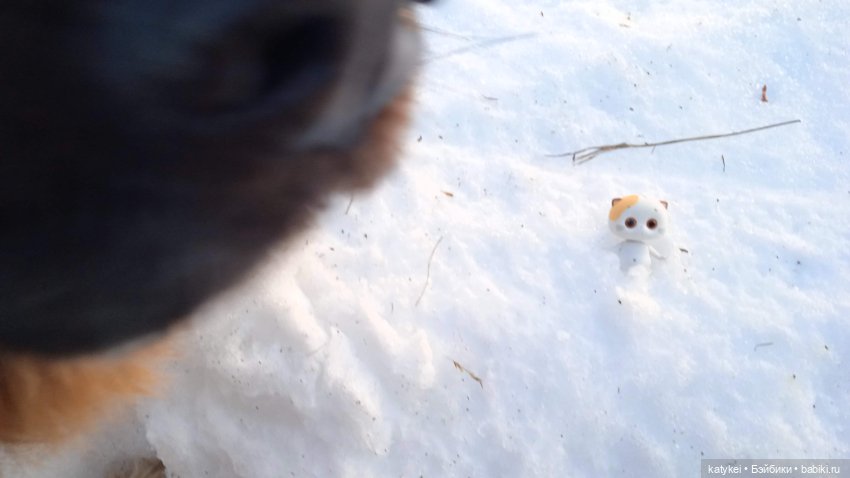 Крещенские купания и валяния в снегу с Ли-Мурр (фото 2)