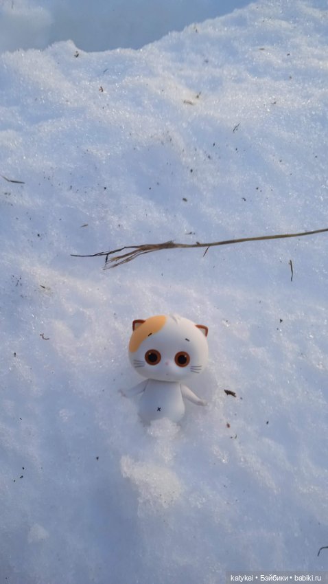 Крещенские купания и валяния в снегу с Ли-Мурр (фото 3)