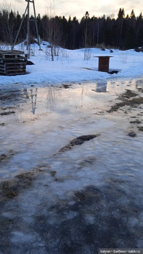 Крещенские купания и валяния в снегу с Ли-Мурр