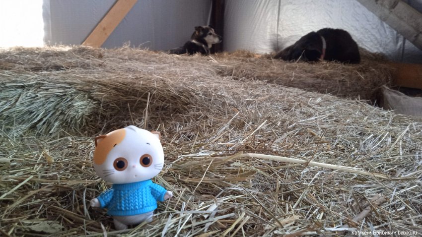 Крещенские купания и валяния в снегу с Ли-Мурр