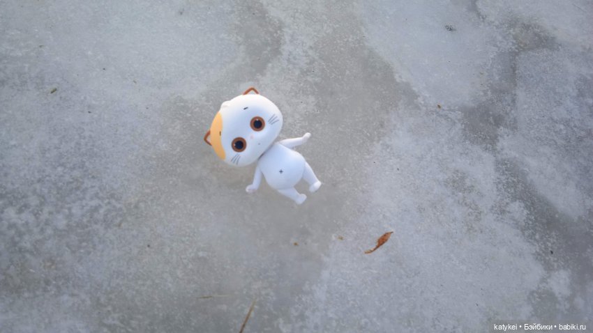 Крещенские купания и валяния в снегу с Ли-Мурр (фото 7)