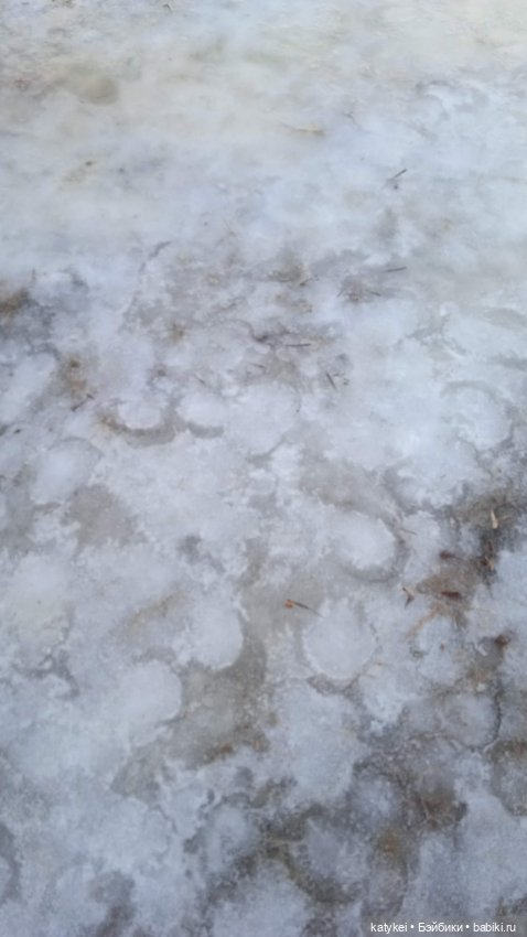 Крещенские купания и валяния в снегу с Ли-Мурр