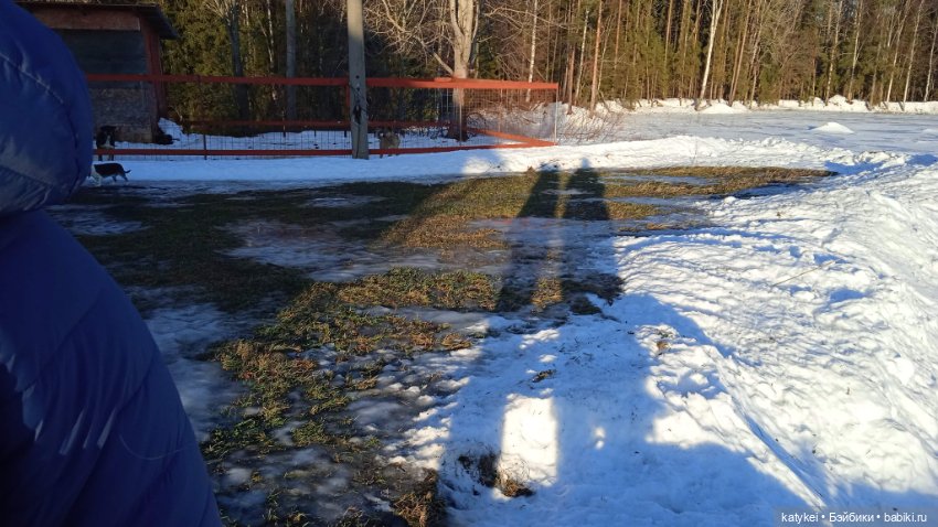 Крещенские купания и валяния в снегу с Ли-Мурр