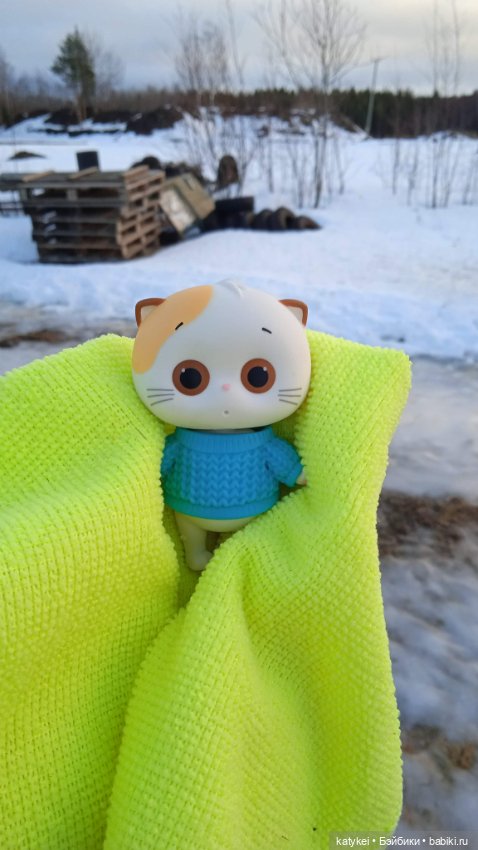 Крещенские купания и валяния в снегу с Ли-Мурр