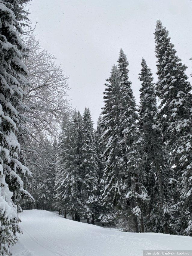 Либел на зимней прогулке — Домашние фото авторских кукол: личные коллекции