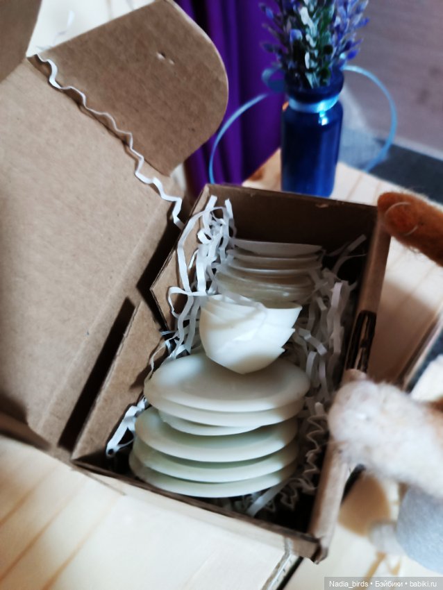 Мяуберриз: первый рабочий день Чешира