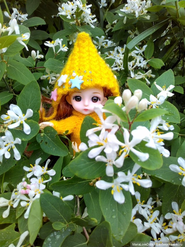 Пять лет на сайте!🎂🎉🍩🍫🧁🍦🥮 (фото 3)