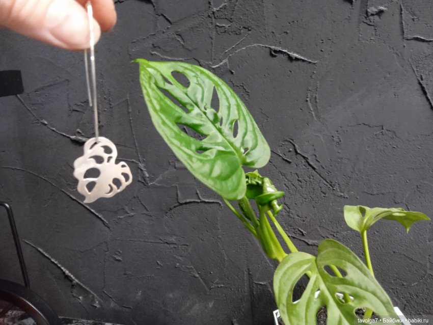 Ювелирные украшения моей работы