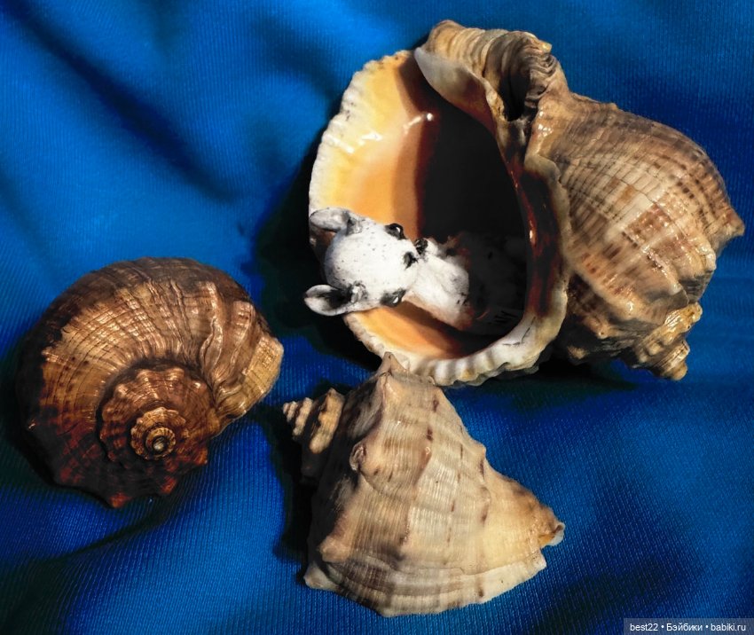 Домашняя 🐐 Римка — Домашние фото авторских игрушек: Тедди (фото 7)